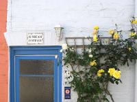 Cottagetür mit Rosenstock in Padstow